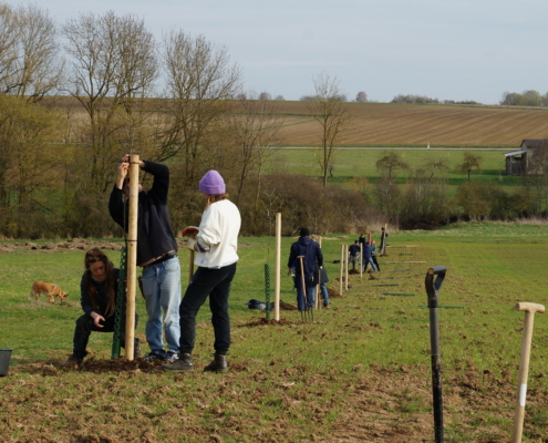 Am 2. Tag geht's ans selbst ausprobieren: 15 Apfelbäume werden gepflanzt